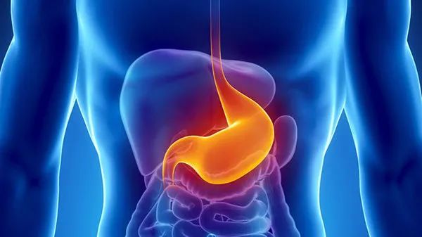 科普丨慢性萎缩性胃炎如何预防癌变？
