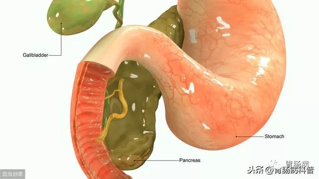 胆汁反流性胃炎