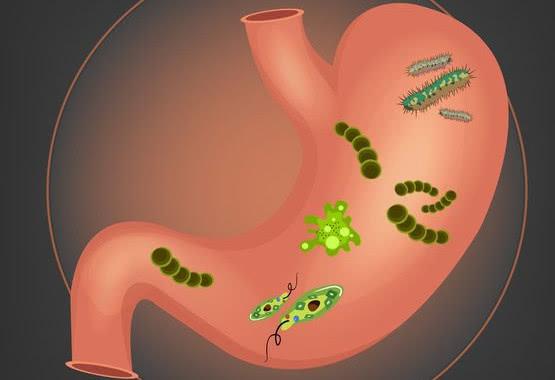 防治幽门螺杆菌感染 预防慢性胃炎癌变