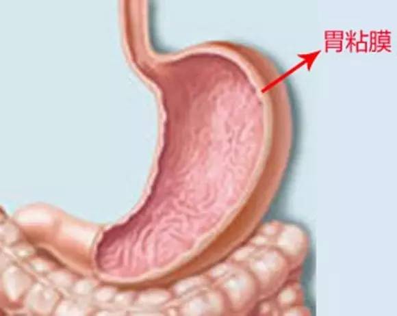 慢性浅表性胃炎平时应注意 常见的胃炎检查手段有