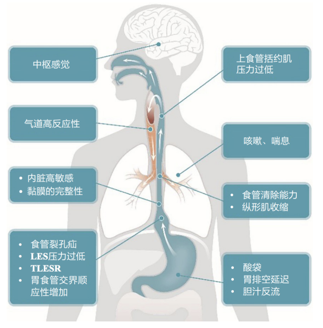 三种经常见到的胃病，一般都很疼痛，但要分清楚！