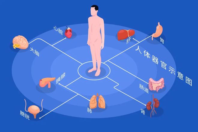 全球每年1000多万人死于肠胃疾病！肠道对健康有多重要
