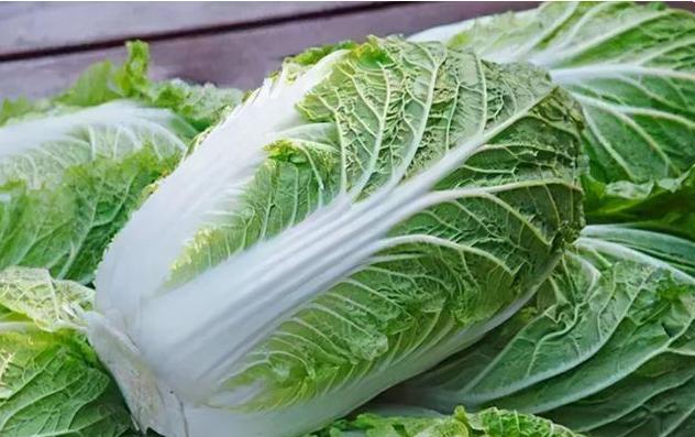 白菜是胃炎的“发物”？建议：保养肠胃，这几种菜尽量要少吃