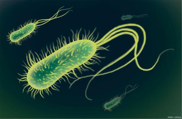 胃中感染幽门螺杆菌，摒弃2种习惯，学会调理肠胃，远离胃部疾病