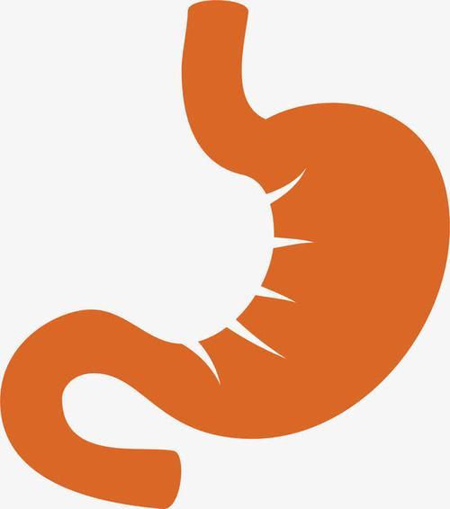 洛阳新里程医院：肠胃不好，要多吃这4种食物，营养滋补，能健脾养胃