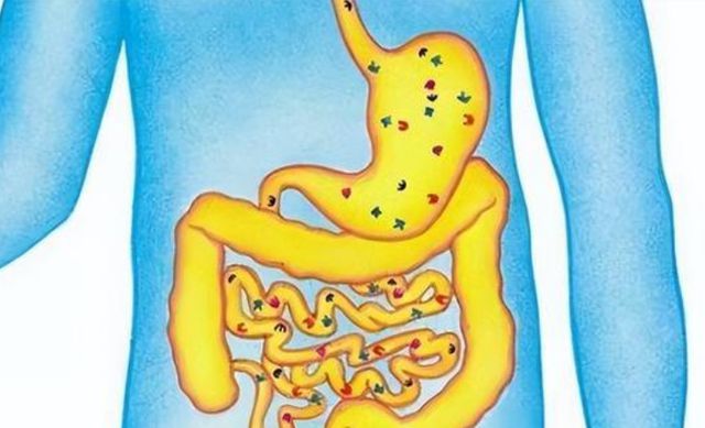肠胃老是不舒服 需警惕这7种肠胃疾病