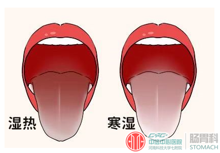 脾胃虚弱、湿气重？该这样调理！