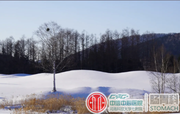 数九寒冬，怎样调养脾胃？